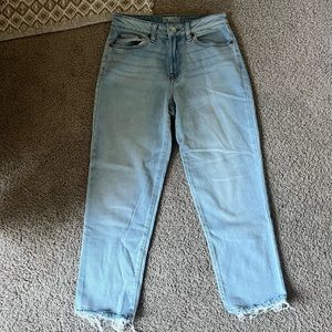 REWASH Jeans- TJ Maxx